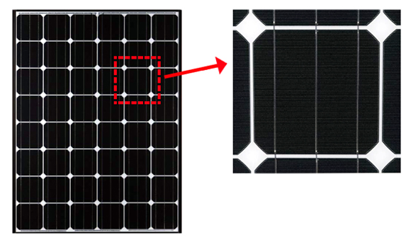 پنل خورشیدی مونوکریستالین-تکسا